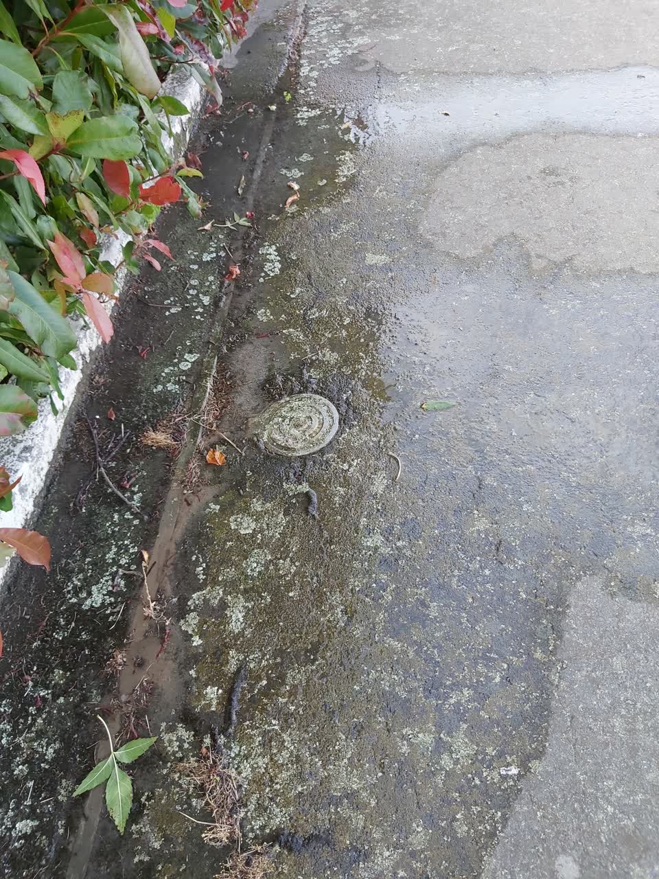 The photograph attached to this water supply report