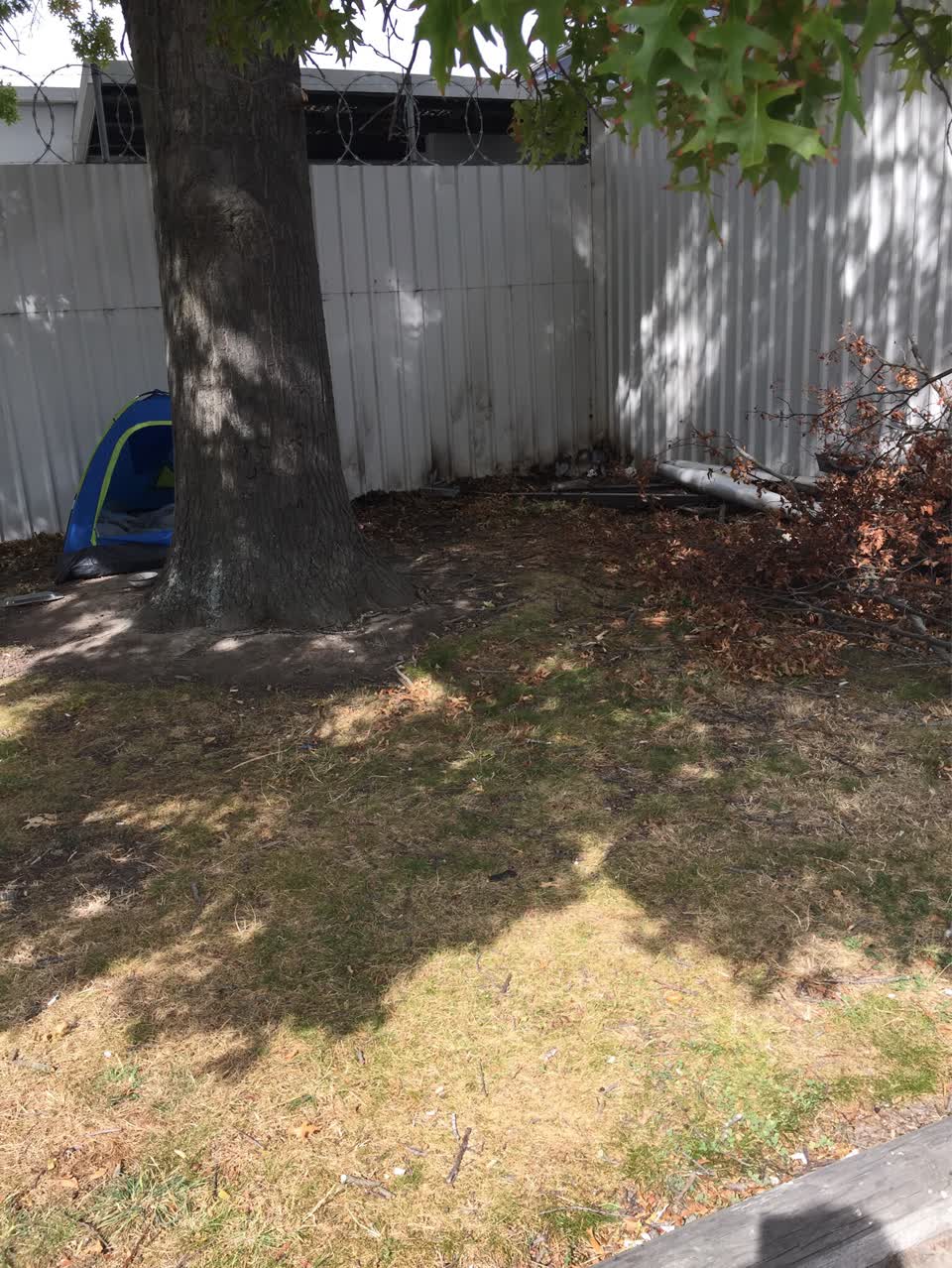 The photograph attached to this parks report