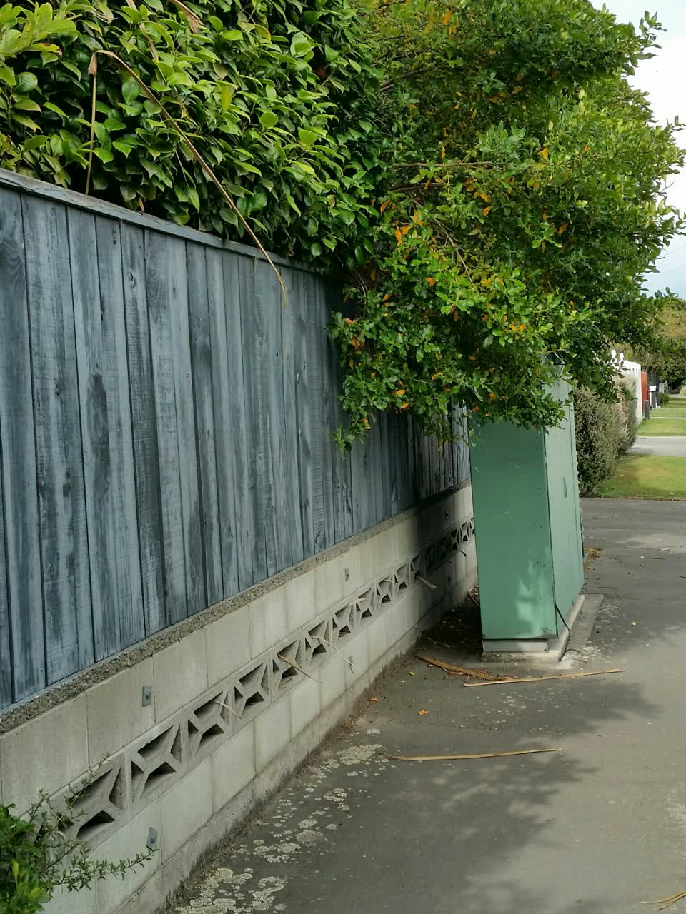 The photograph attached to this roading/streets report