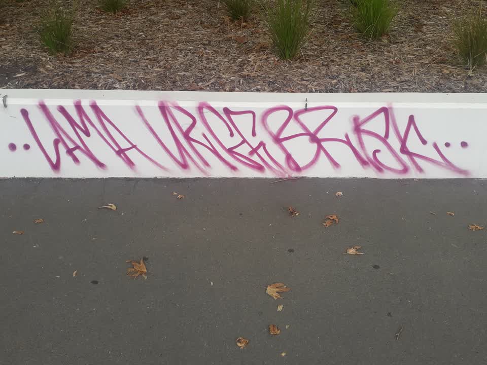 The photograph attached to this graffiti report
