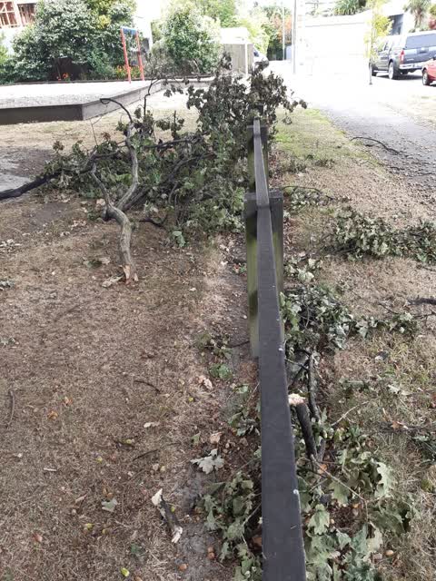 Parks, a report photo