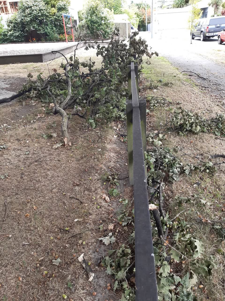 The photograph attached to this parks report