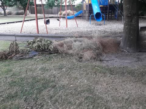 Parks, a report photo