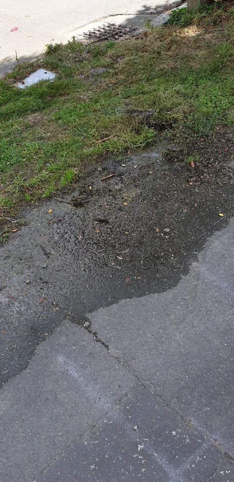 Water Supply, a report photo