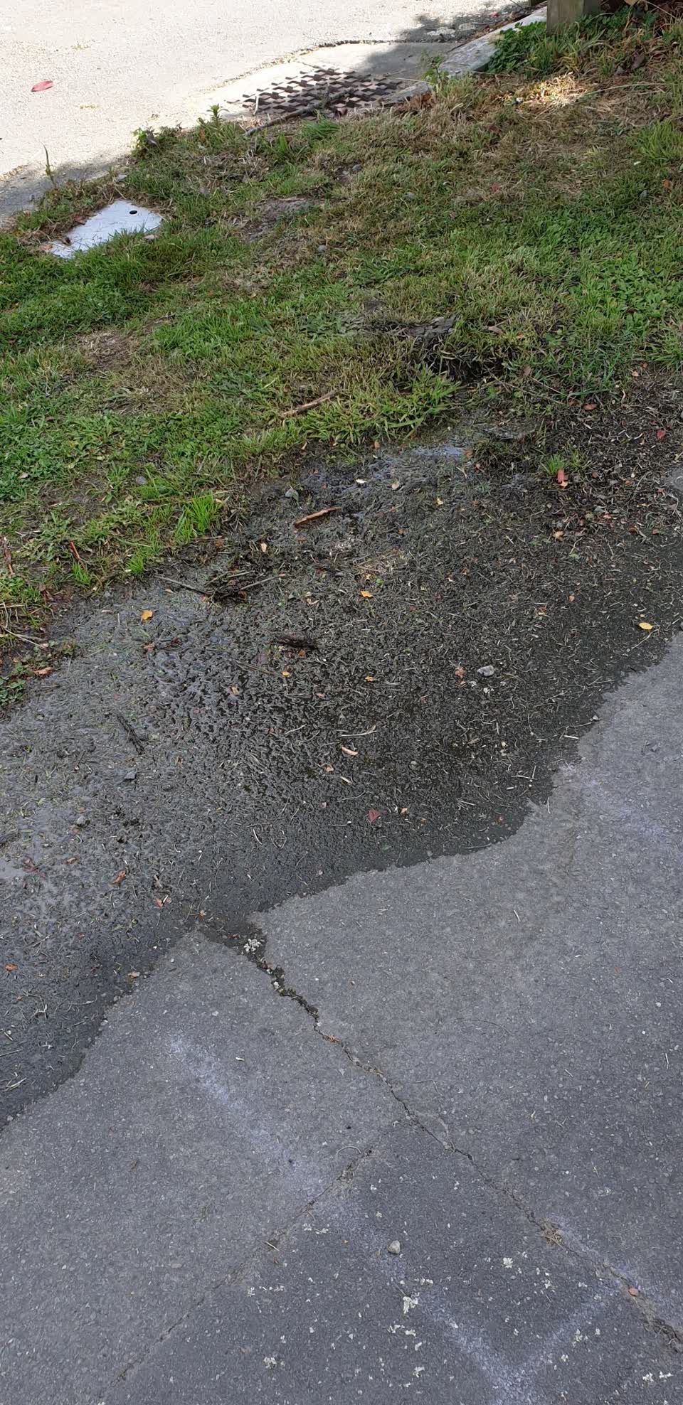 The photograph attached to this water supply report