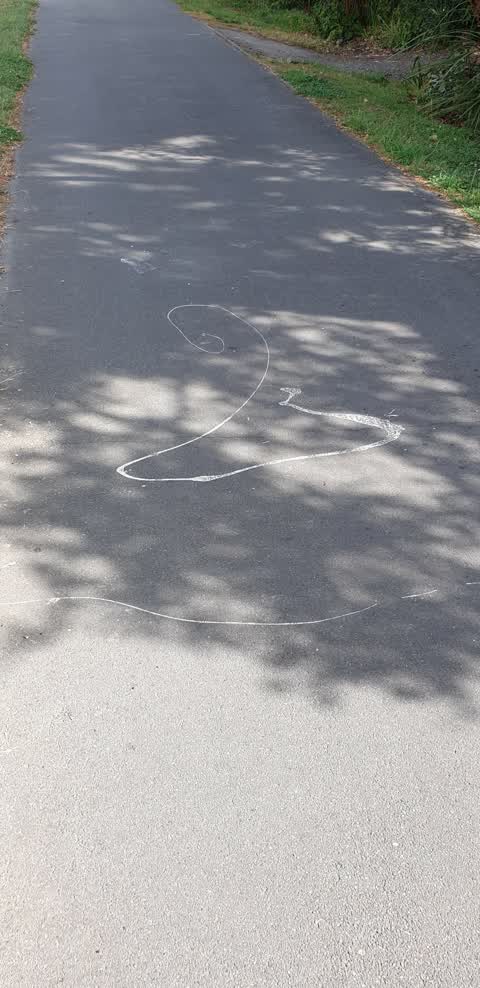 Graffiti, a report photo