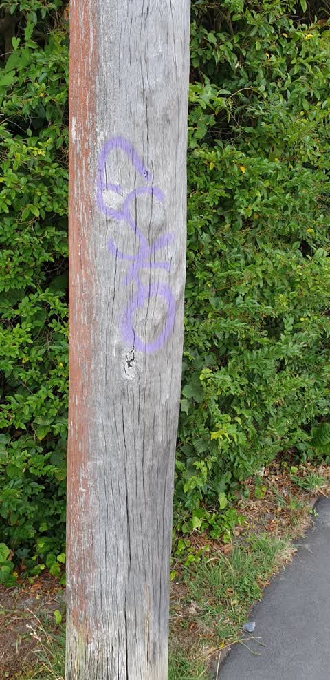 Graffiti, a report photo