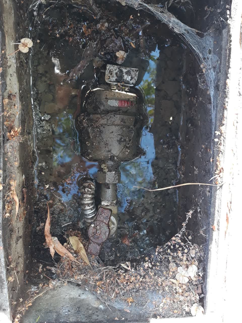 The photograph attached to this water supply report