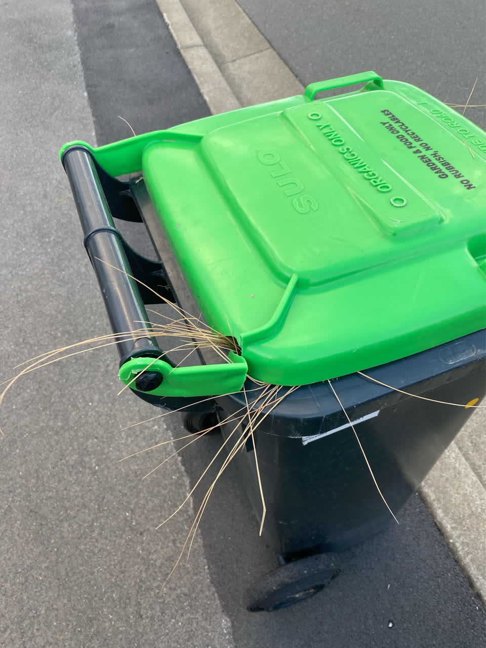 The photograph attached to this rubbish/recycling report