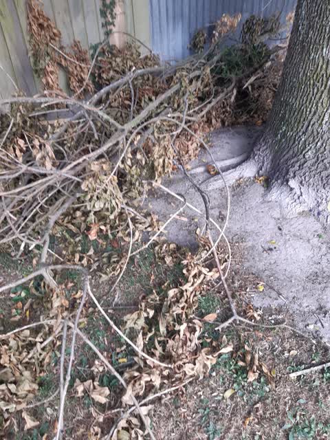 Parks, a report photo