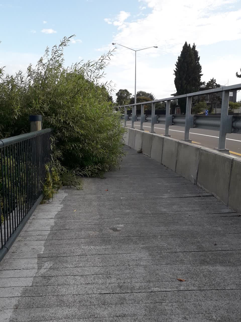The photograph attached to this parks report