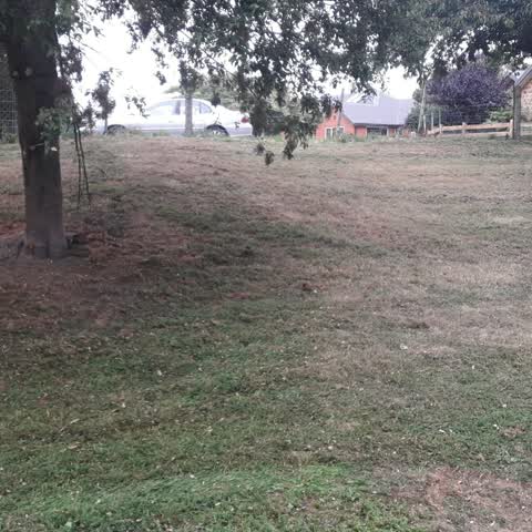 Parks, a report photo