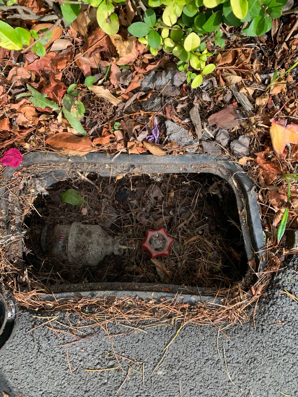 The photograph attached to this water supply report