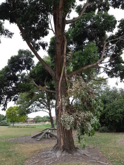 Parks — a report photo