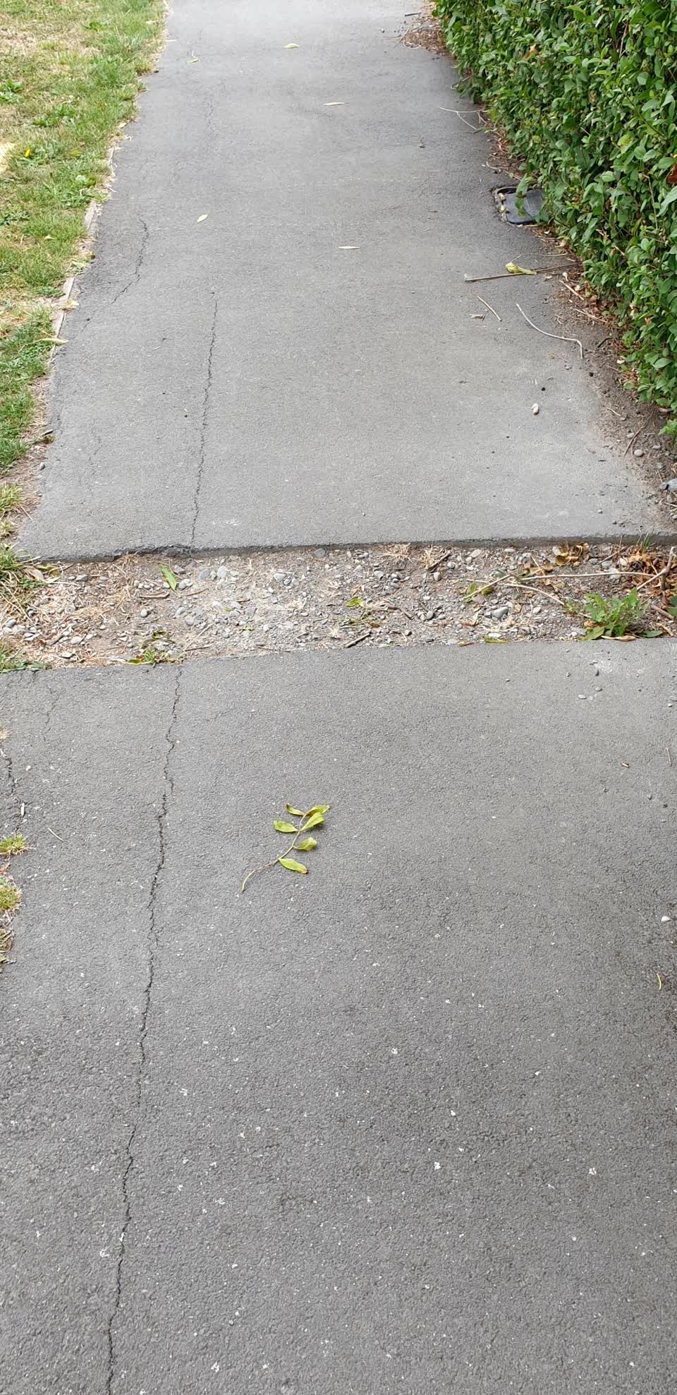 The photograph attached to this roading/streets report