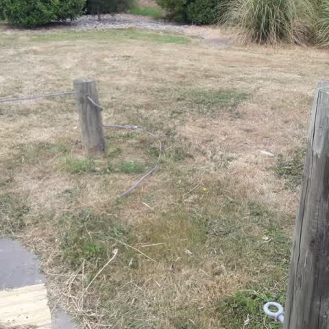 Parks — a report photo