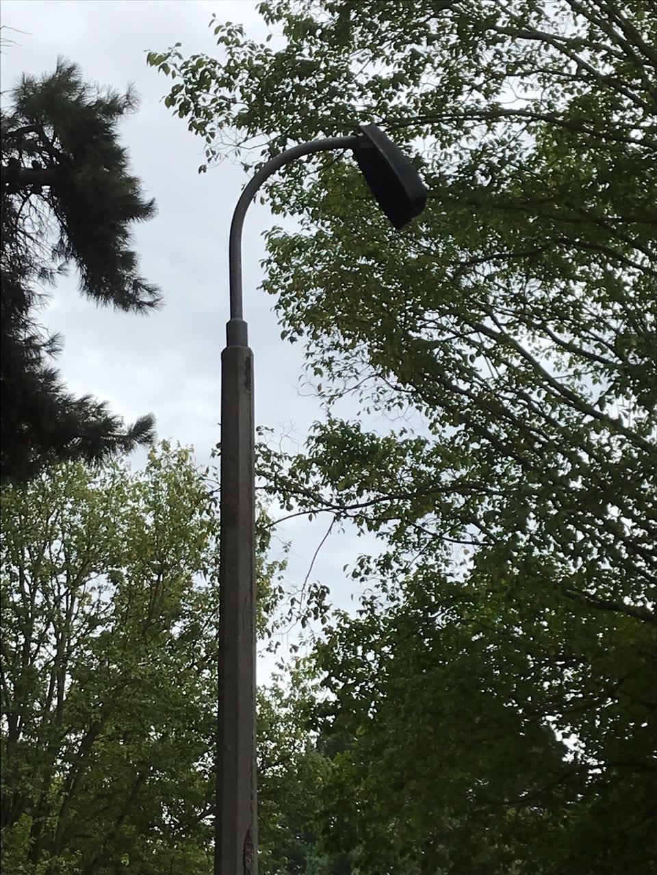 The photograph attached to this parks report