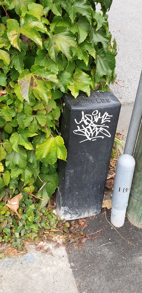 Graffiti, a report photo