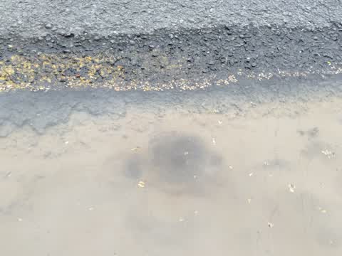Roading/Streets, a report photo