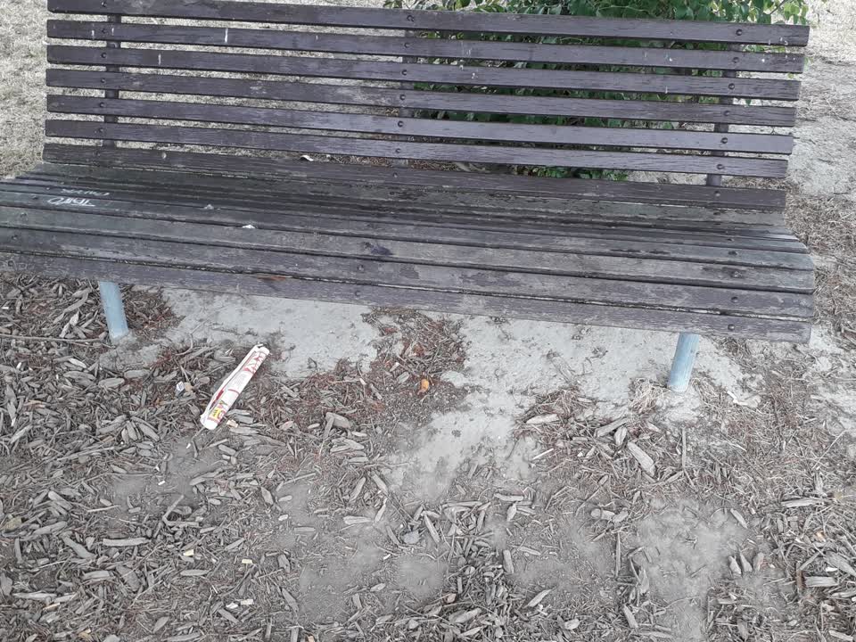The photograph attached to this parks report