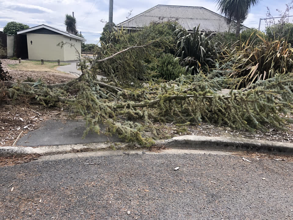 The photograph attached to this parks report