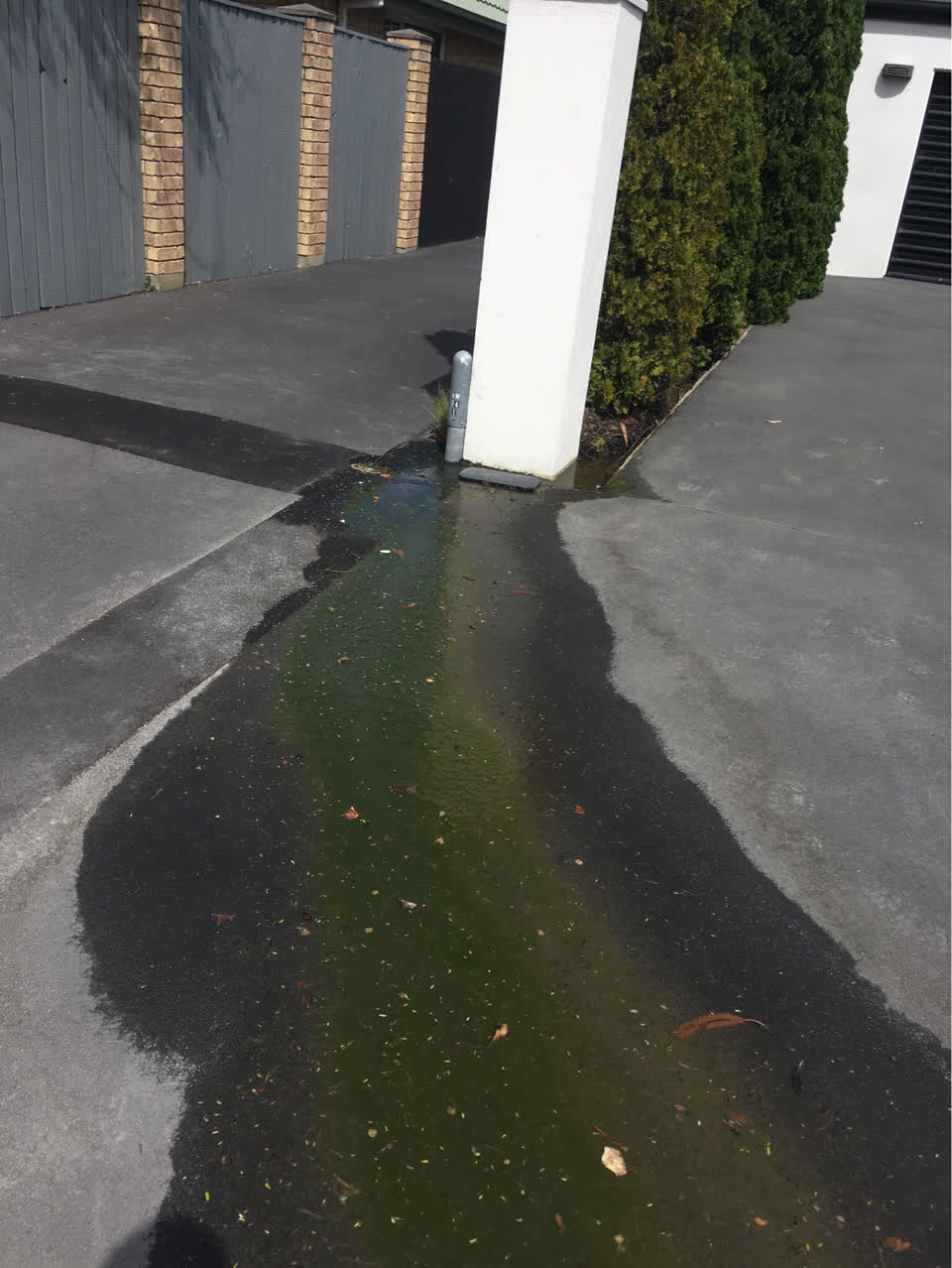 The photograph attached to this water supply report