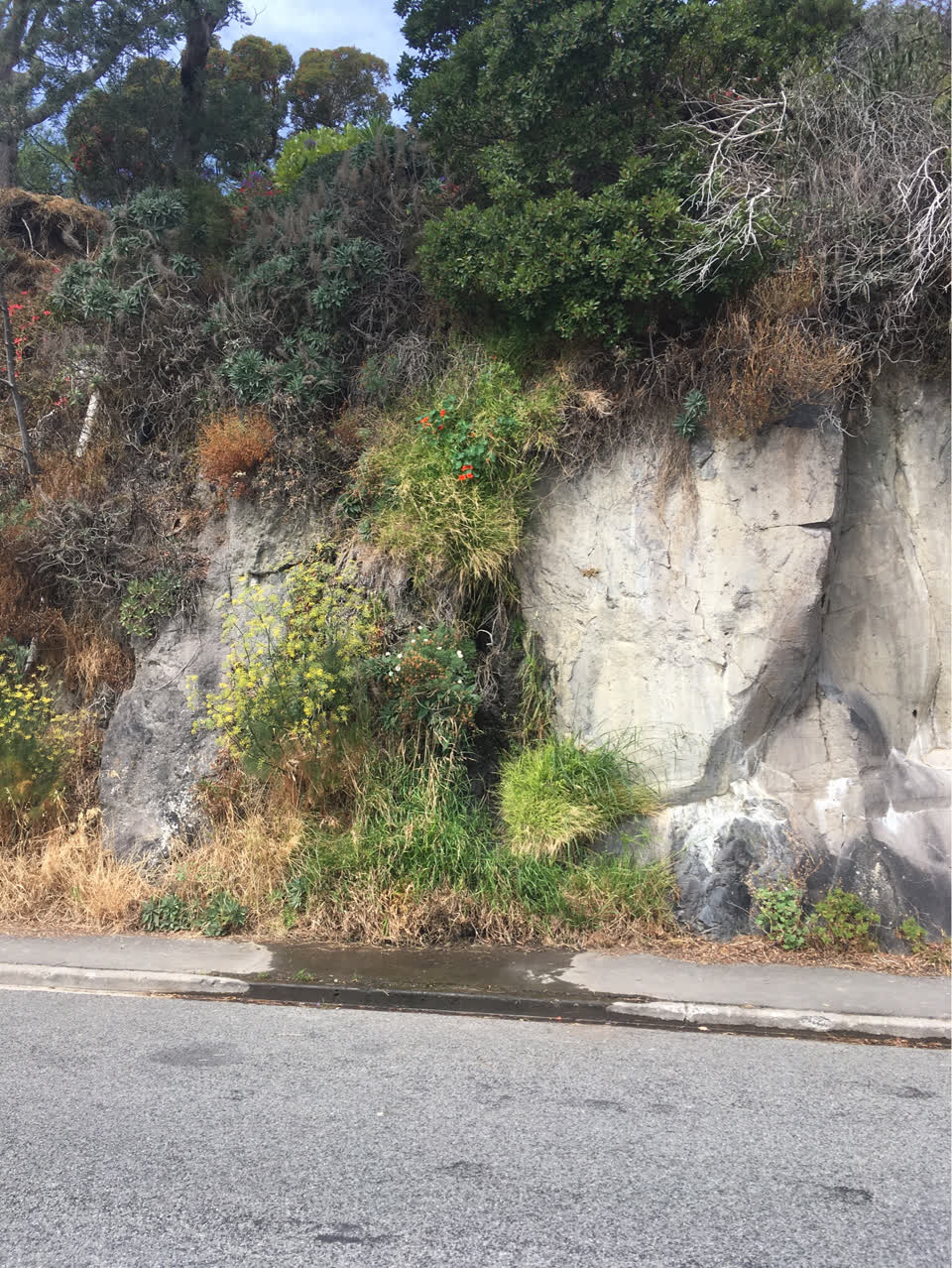 The photograph attached to this water supply report