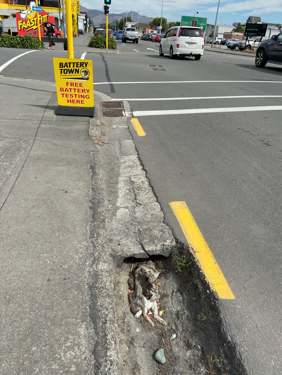 The photograph attached to this rubbish/recycling report