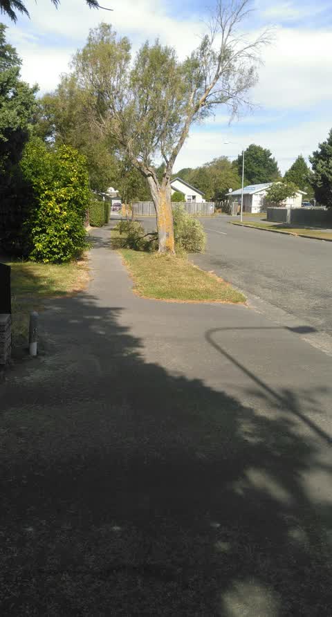 Roading/Streets, a report photo