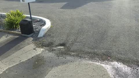 Water Supply, a report photo