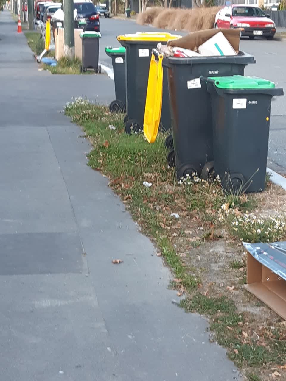 The photograph attached to this rubbish/recycling report