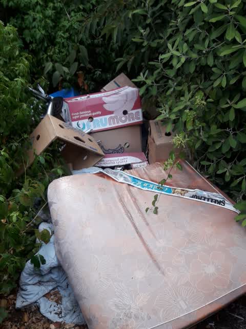 Rubbish/Recycling, a report photo