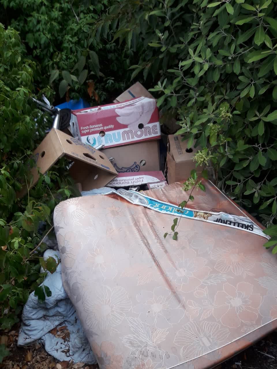 The photograph attached to this rubbish/recycling report