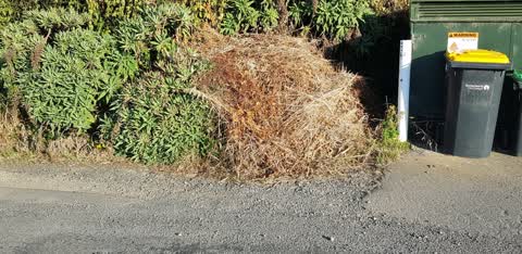 Rubbish/Recycling, a report photo
