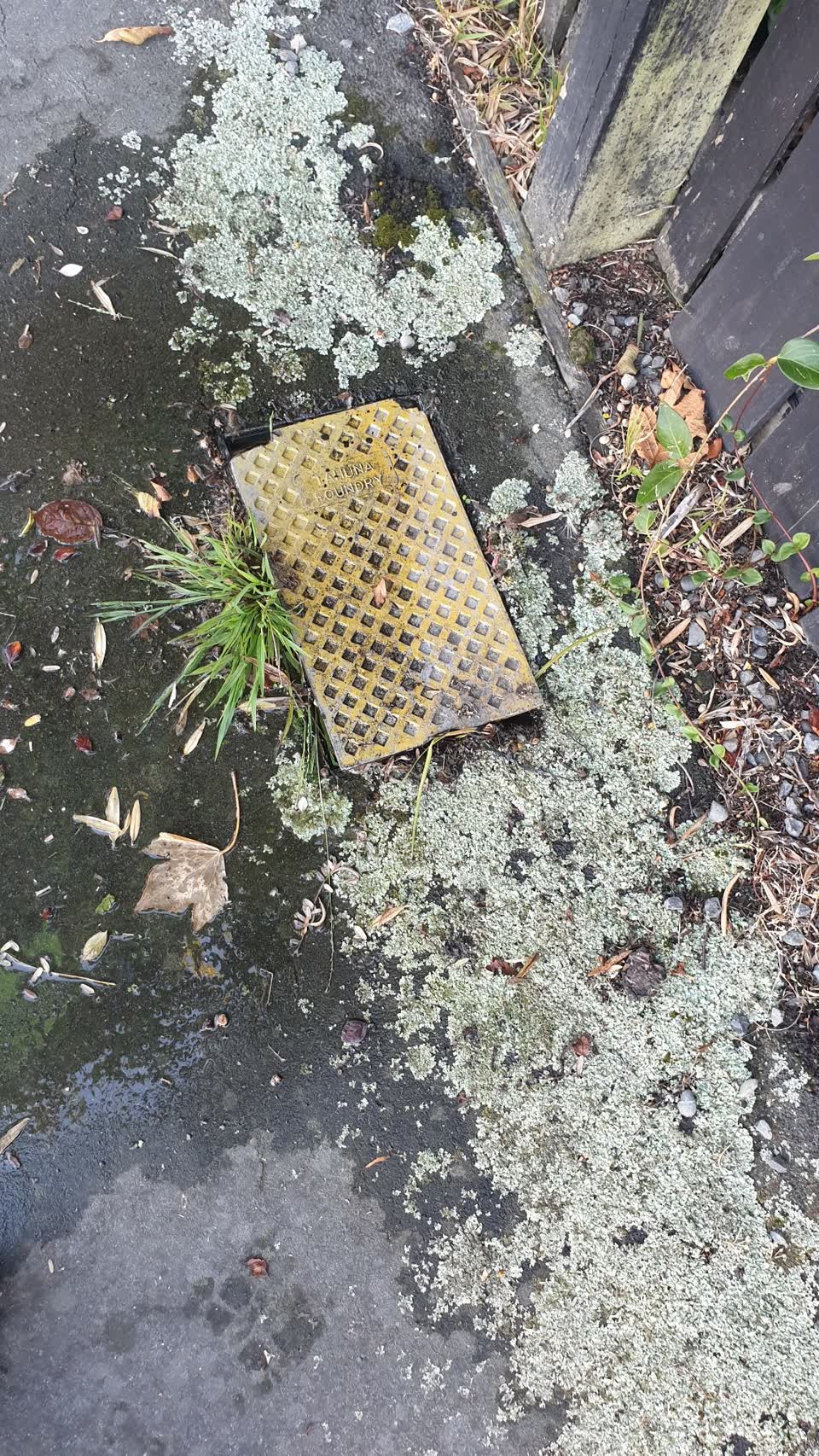 The photograph attached to this water supply report