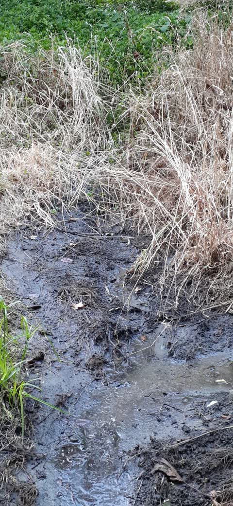 Wastewater/Stormwater, a report photo