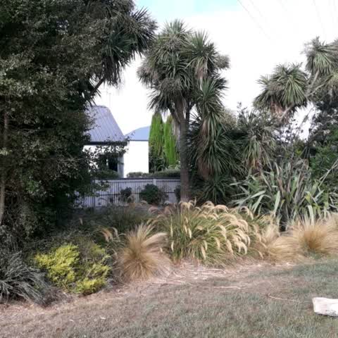 Parks, a report photo