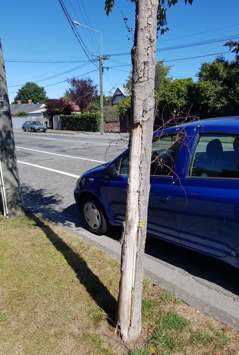 Roading/Streets, a report photo