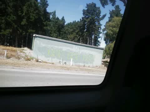 Graffiti — a report photo