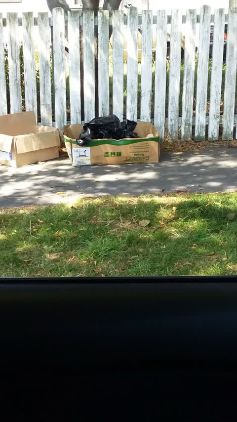 Rubbish/Recycling, a report photo