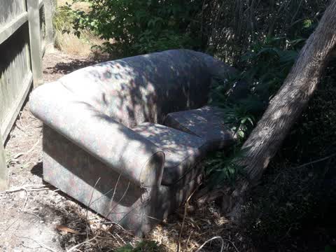 Parks, a report photo