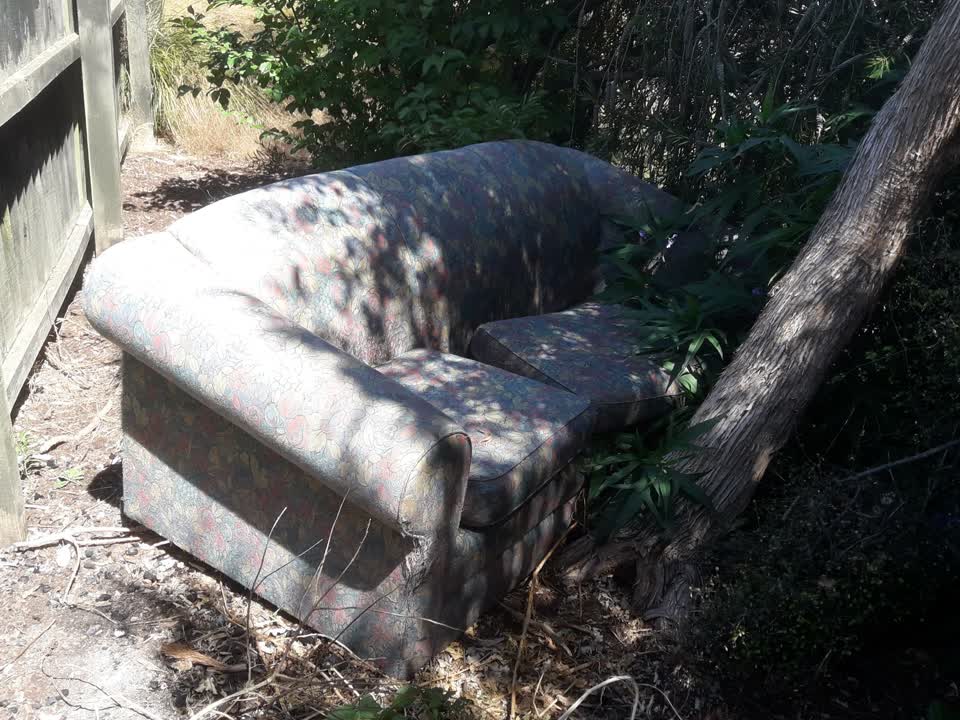 The photograph attached to this parks report