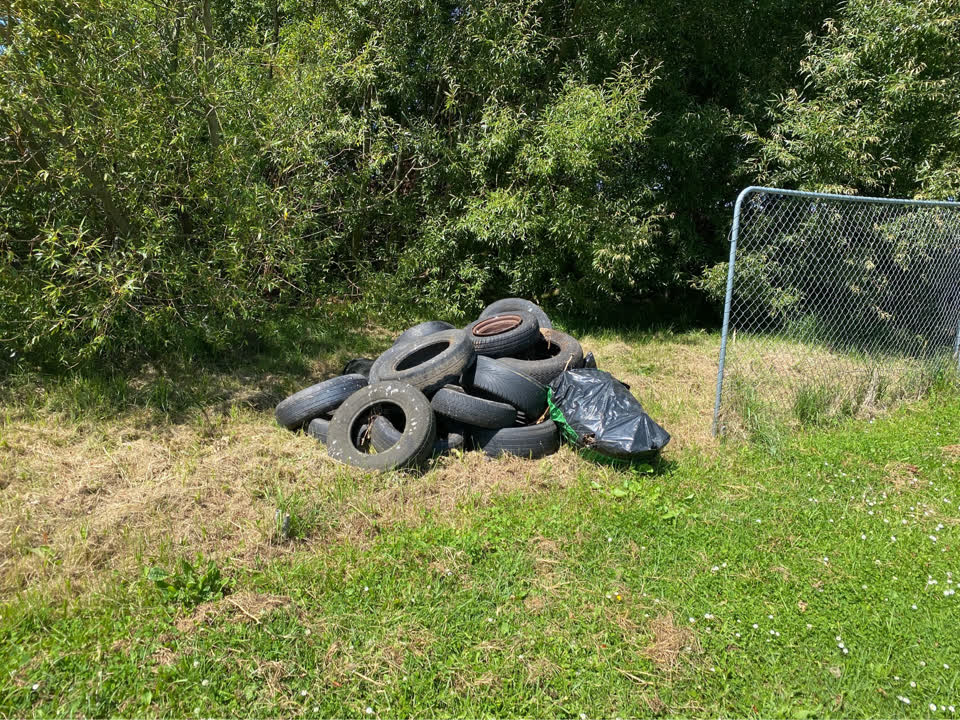 The photograph attached to this parks report