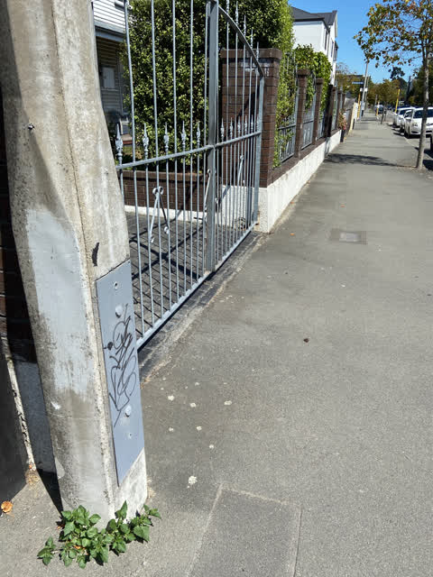 Graffiti, a report photo
