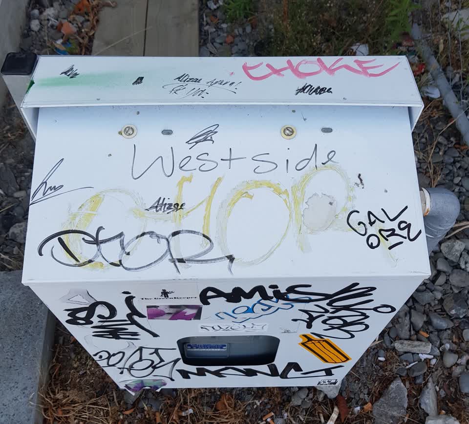 The photograph attached to this graffiti report