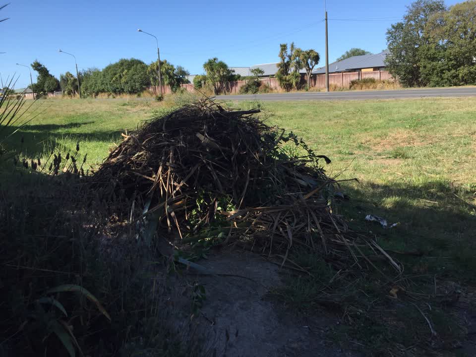 The photograph attached to this parks report