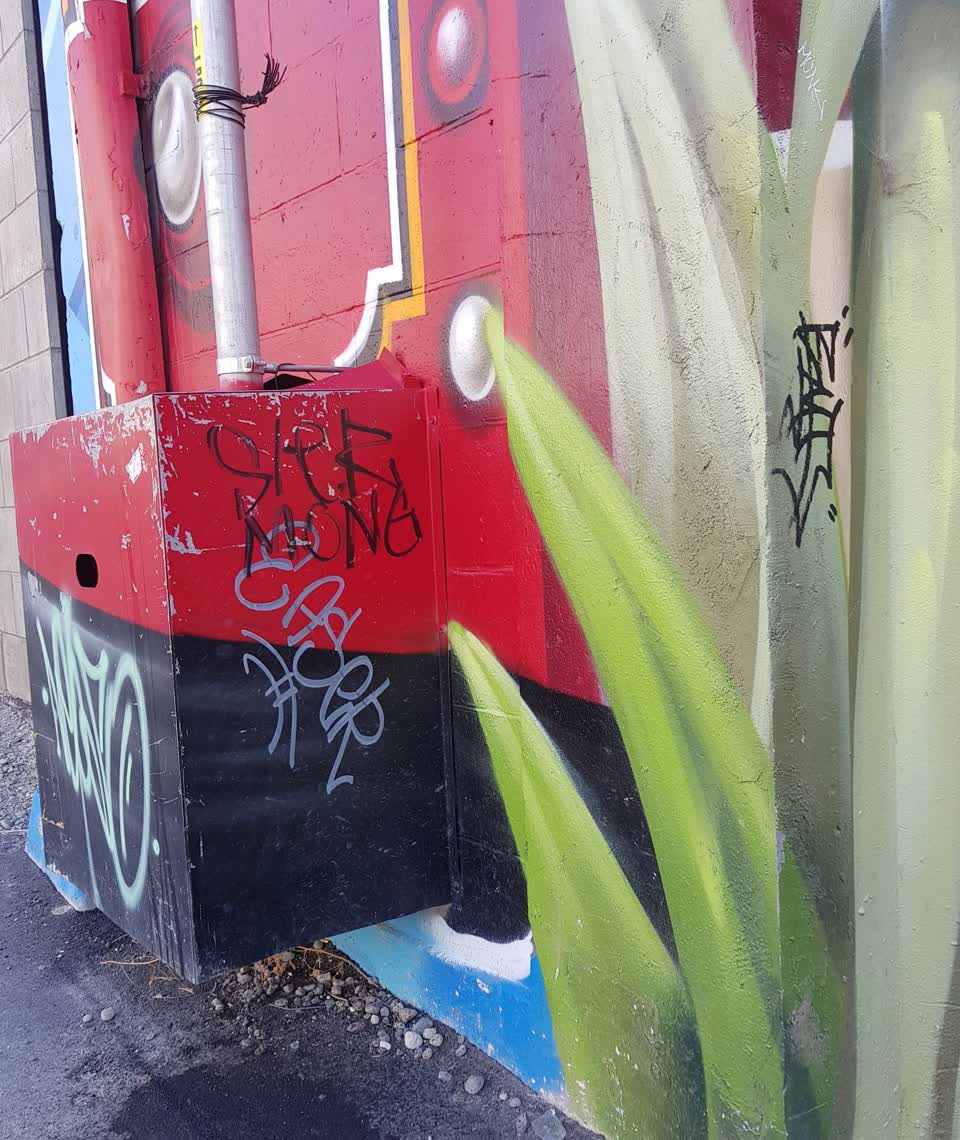 The photograph attached to this graffiti report