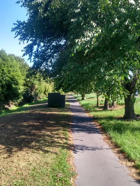 Roading/Streets — a report photo