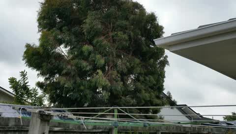 Parks, a report photo