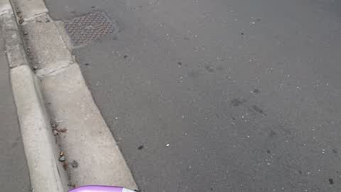 Roading/Streets, a report photo